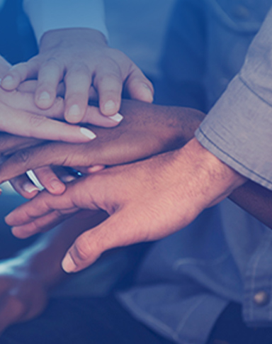 必发·bifa(中国集团)唯一官方网站