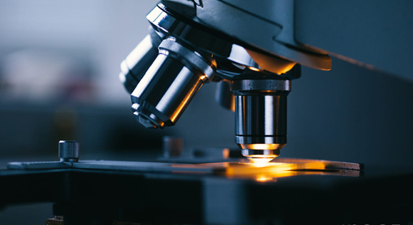 必发·bifa(中国集团)唯一官方网站