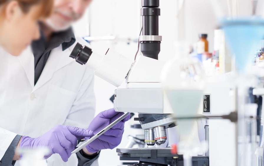 必发·bifa(中国集团)唯一官方网站